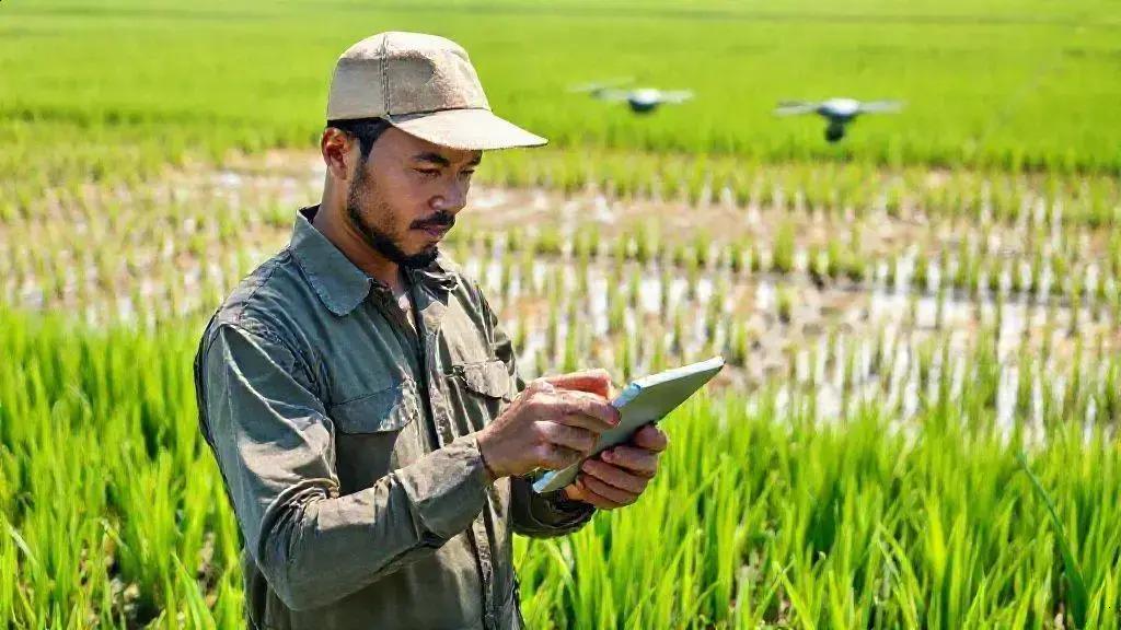 Inovações e estratégias para mitigar emissões sem comprometer a produtividade Inovações e estratégias para mitigar emissões sem comprometer a produtividade