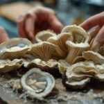 Maia Farms: inovação em ingredientes de proteína de micélio para saúde e sustentabilidade 4 Maia Farms: inovação em ingredientes de proteína de micélio para saúde e sustentabilidade