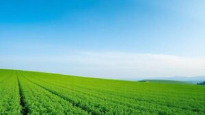 Novas Diretrizes Alimentares dos EUA Aumentam a Pressão sobre o Meio Ambiente