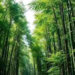 Bambu: A Promessa Sustentável para a Alimentação Global